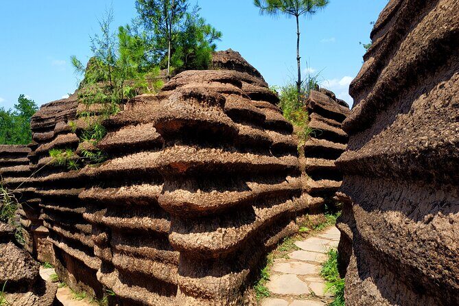 Wulong karst+Red stone National Park 3-days Private tour-Extension - FAQ
