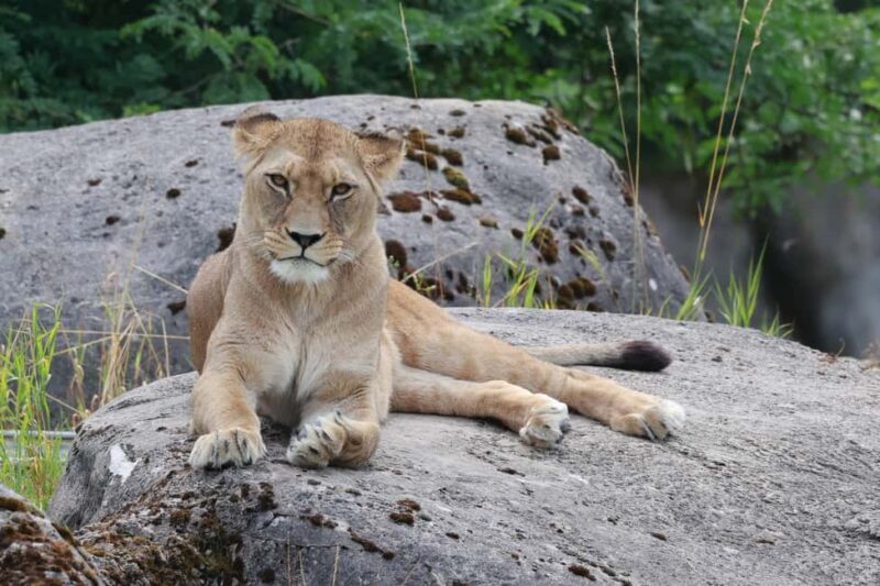 Wuppertal: Admission to the Wuppertal Green Zoo - Key Points