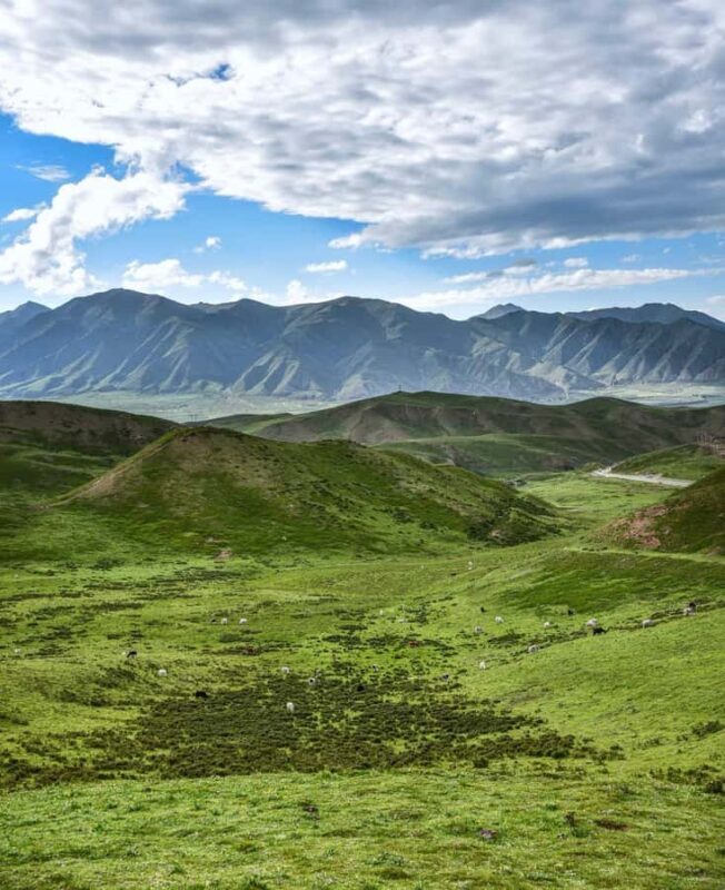 Wuwei Day Tour: White Pagoda, Wushaoling & Snow Mountain - Introduction: An Authentic Taste of Wuweis Heritage and Nature