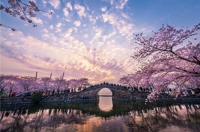 Wuxi Private Flexible Day Tour from Shanghai by Bullet Train - Who Would Love This Tour?