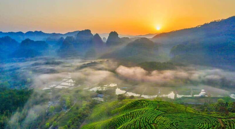 wuyishan-3-day-tea-culture-and-bamboo-rafting-tour