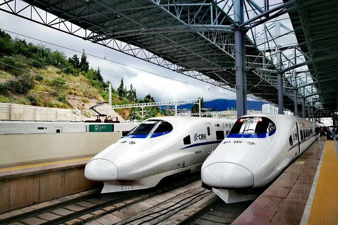 Wuzhen Water Town 2-Day Tour by Bullet Train from Shanghai - Analyzing the Value