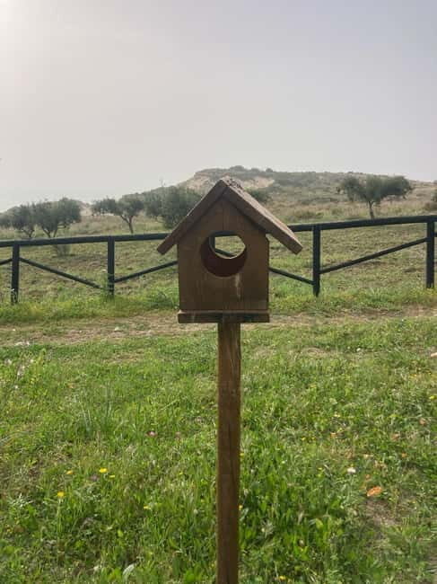 WWF E-BIKE TOUR | Riserva Naturale di Torre Salsa Con pranzo - FAQs