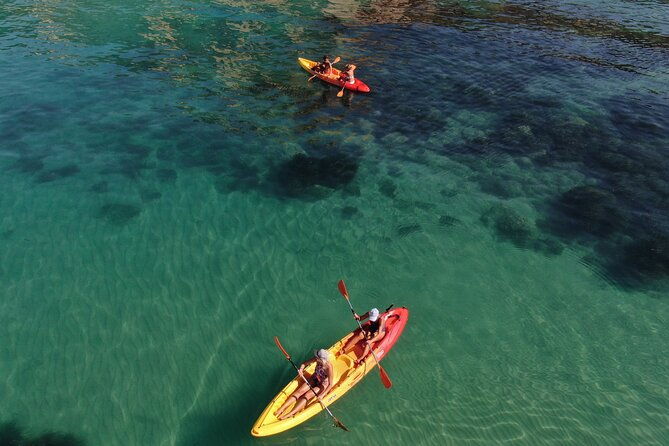 wwf-kayak-tour-from-cala-manbru-to-torre-salsa-reserve