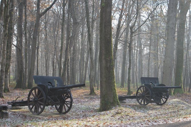 wwi-belleau-wood-meaux-museum-of-the-great-war-private-day-trip-from-paris