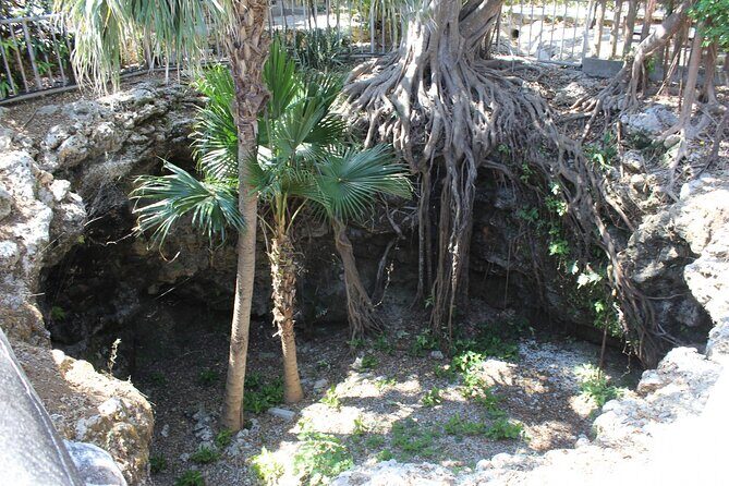 WWII Battle of Okinawa - Himeyuri & Peace Museum Guided Tour - In-Depth Look at the Tour