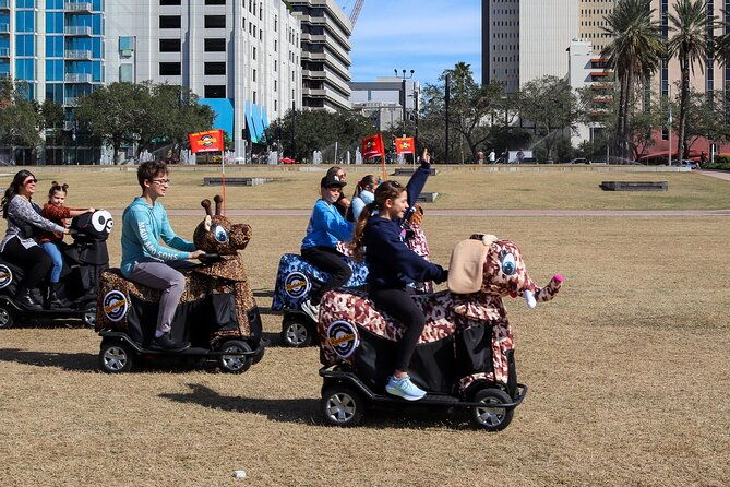 wyld-things-rydables-tour-of-tampa