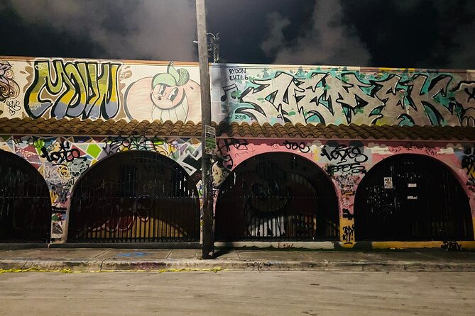 wynwood-graffiti-golf-cart-tour-after-dark