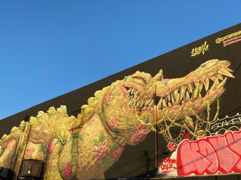 wynwood-walking-tour-in-french-2h