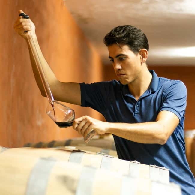 Xalo: Vineyard Tour with Wine Tasting and Snacks - An In-Depth Look at the Vineyard Tour in Xalo