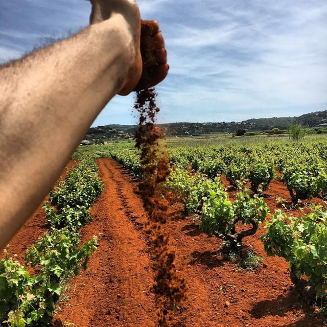 xalo-vineyard-tour-with-wine-tasting-and-snacks