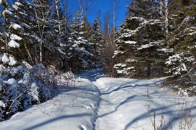 xc-ski-or-hok-ski-rental-package