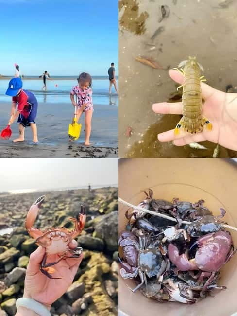 Xiamen: Sailing & Sea Experience. - Authentic Insights from Reviews