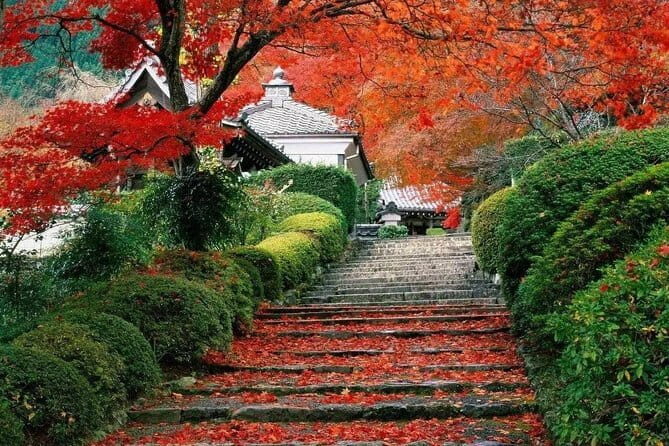 Xi'an: 1-Day Terracotta Warriors Tour from Beijing by Train - FAQ