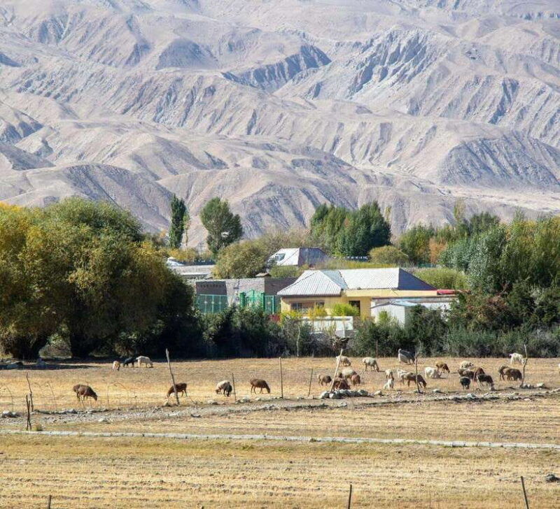 xian-12-day-silk-road-tour-to-kashgar