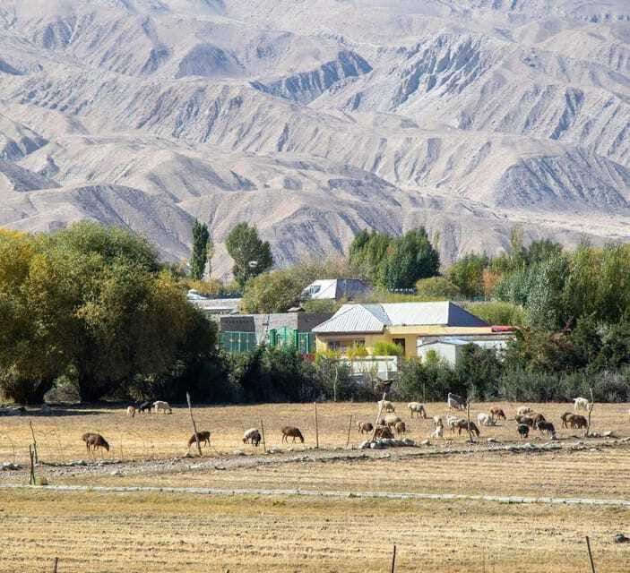 xian-12-day-silk-road-tour-to-kashgar