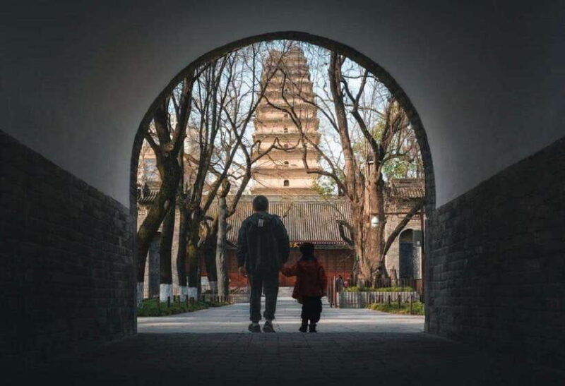 xian-city-wall-terracotta-army-museum-group-day-tour