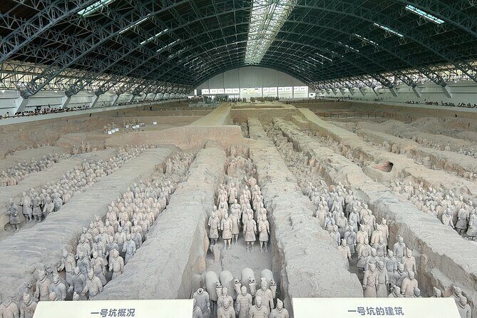 Xi'an: Exclusive Terracotta Army Tour with Local Family Lunch - An In-Depth Look at the Tour