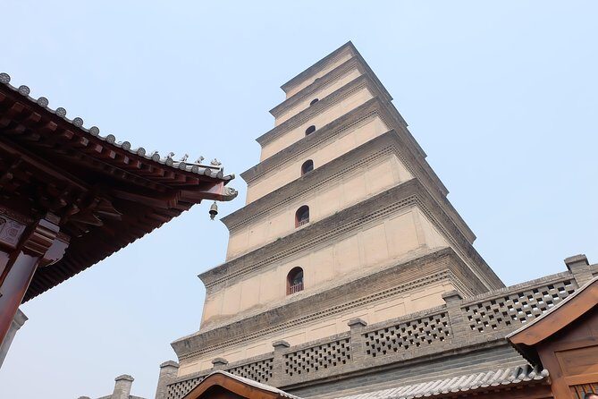 Xi'an Half-Day City Tour - Shaanxi History Museum and Big Wild Goose Pagoda - Practicalities & Considerations