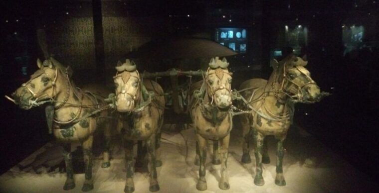 xian-half-day-terracotta-warriors-horses-museum-tour