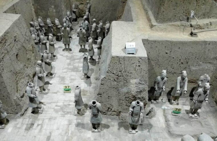 xian-half-day-terracotta-warriors-horses-museum-tour