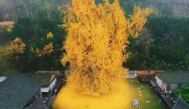 Xi'an Hidden Gems One-Day Private Tour - An In-Depth Look at the Xian Hidden Gems Private Tour