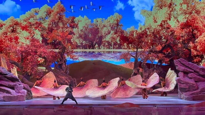 Xi'an: Silk Road Legend Musical with Roundtrip Transfer - The Show Experience and Atmosphere