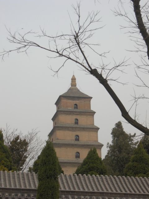 xian-terra-cotta-warriors-entry-with-optional-guide