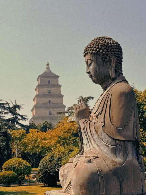 xian-terracotta-army-and-big-wild-goose-pagoda-tour