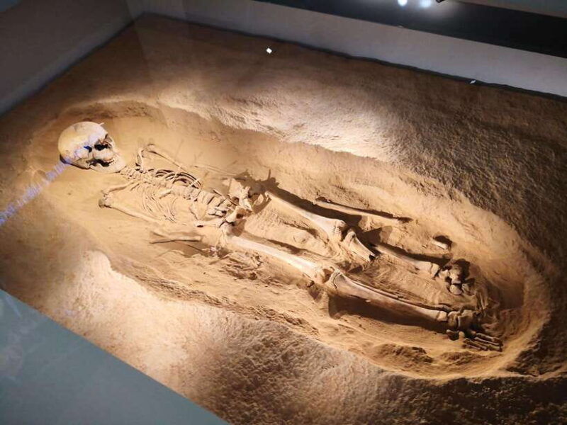xian-terracotta-army-and-shaanxi-archaeology-museum-tour