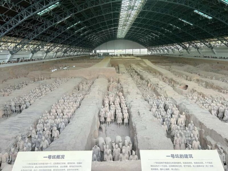 Xi'an Terracotta Army: English Guide Service & Tour Options - Key Points