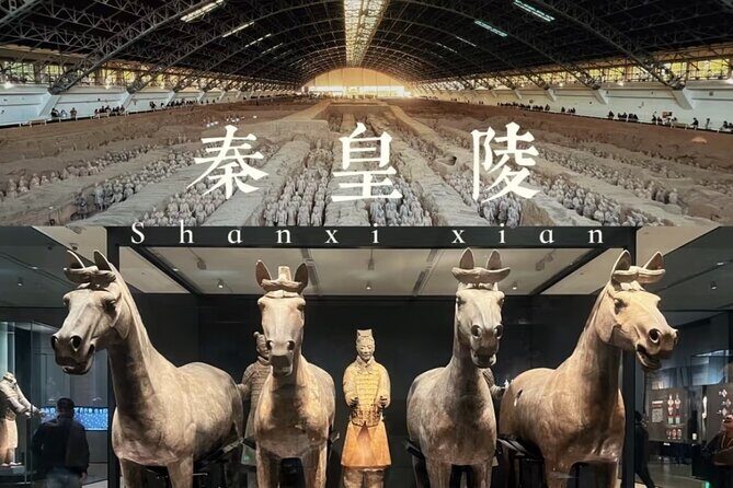 Xi'An Terracotta Army Half Day With ENG/CHN/JAP/SPA Guide Daily - Final Thoughts