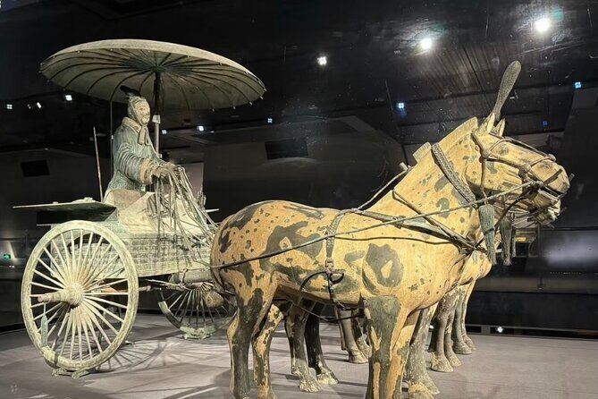 Xi'An Terracotta Army Half Day With ENG/CHN/JAP/SPA Guide Daily - References