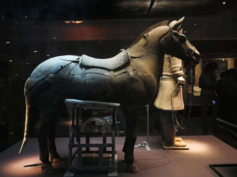 Xi'an: Terracotta Army Mini Group or Private Tour - FAQ