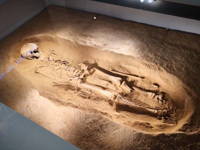 Xi'an: Terracotta Army & Shaanxi Archaeology Museum Day Trip - Final Thoughts: Is it Worth It?