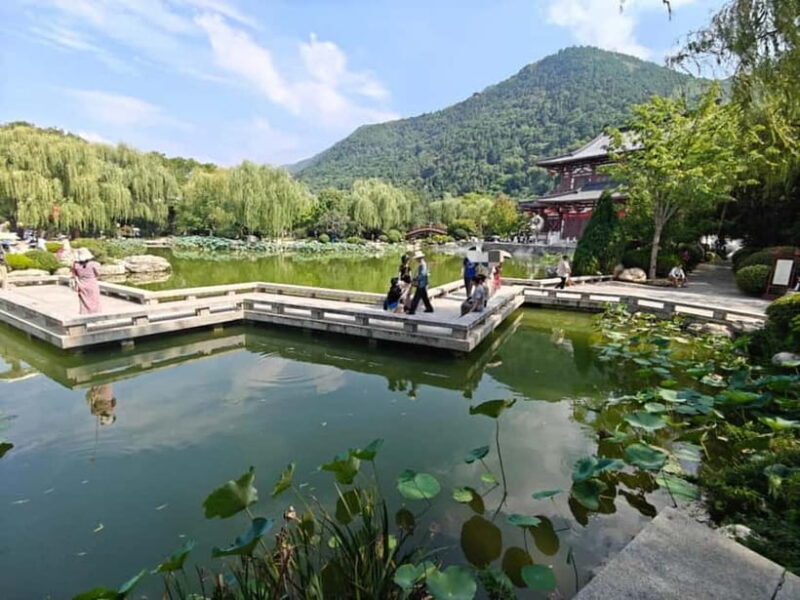 Xi'an: Terracotta Warriors, Huaqing Palace & City Night Tour - Who Will Love This Tour?