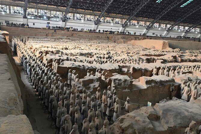 Xi'an: Terracotta Warriors Museum All-Inclusive Bus Tour - The Experience in Detail