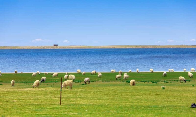 Xining: Qinghai Lake Private Day Tour with Bike Ride - Key Points
