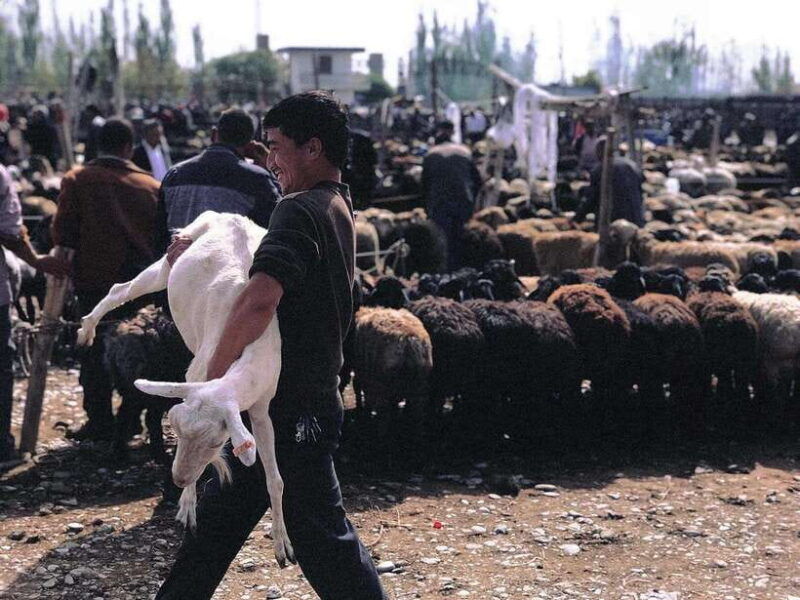 xinjiang-best-classic-silk-road-tour-with-locals