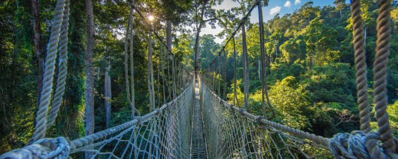 Xishuangbanna: 7-Day Dai Heritage & Botanical Wonders - FAQ