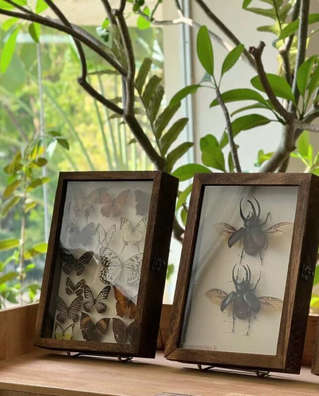 Xishuangbanna: Dai Temple, Tradition, Tie-Dye & Night Market - Practical Details & Logistics