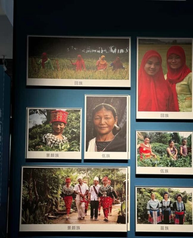 Xishuangbanna: Dai Temple, Tradition, Tie-Dye & Night Market - Why This Tour Offers Real Value