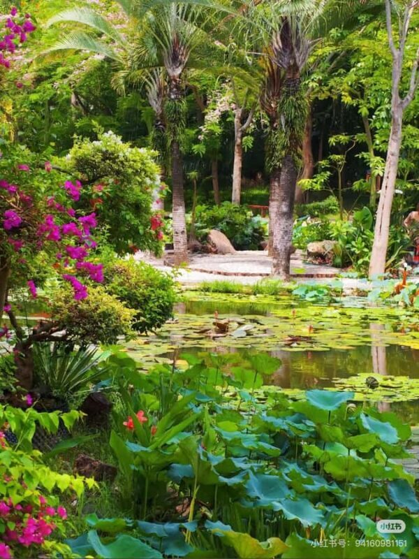 Xishuangbanna: Dai Temple, Tradition, Tie-Dye & Night Market - The Sum Up