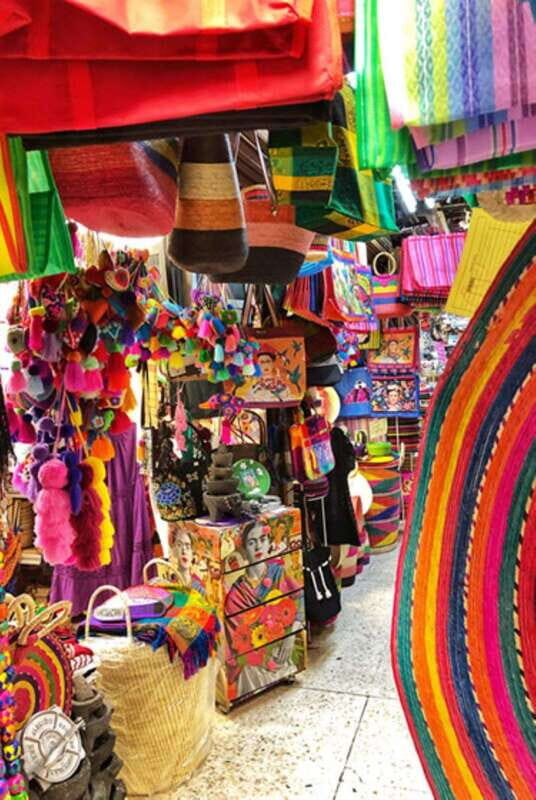 Xochimilco Canals and the Treasures of Coyoacán Tour - Discovering the Heart of Mexico at UNAM
