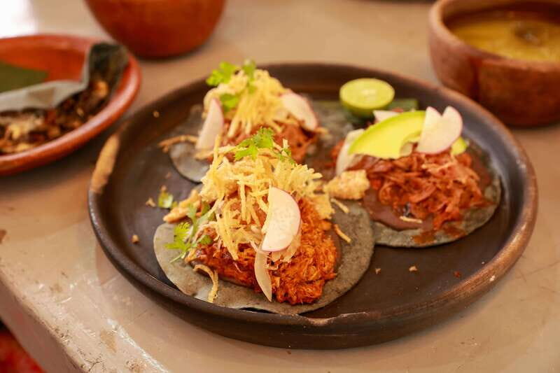 Xochimilco + Coyoacán Combo Full-Day Tour - What’s Included and What’s Not