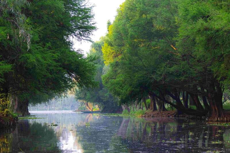 Xochimilco Day Trip: Farmland Food and Hop on a Trajinera - Key Points