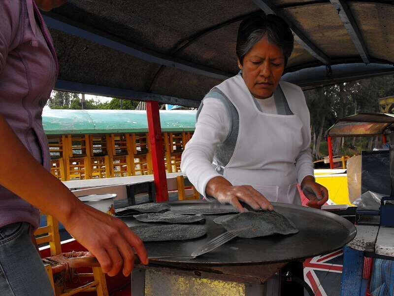 Xochimilco Day Trip: Farmland Food and Hop on a Trajinera - Why Choose This Xochimilco Day Trip?