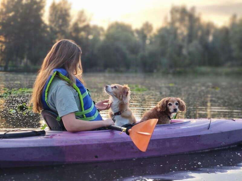 Xochimilco: Kayak at the Magic Morning Light - Authentic Touches and Hidden Gems