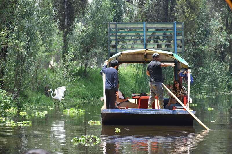 Xochimilco Serene: A Calm Cultural Escape from the Crowds - A Calm, Culturally Rich Journey through Xochimilco