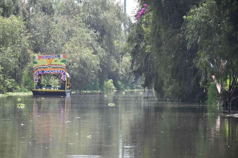 Xochimilco Serene: A Calm Cultural Escape from the Crowds - Who Will Love This Tour?